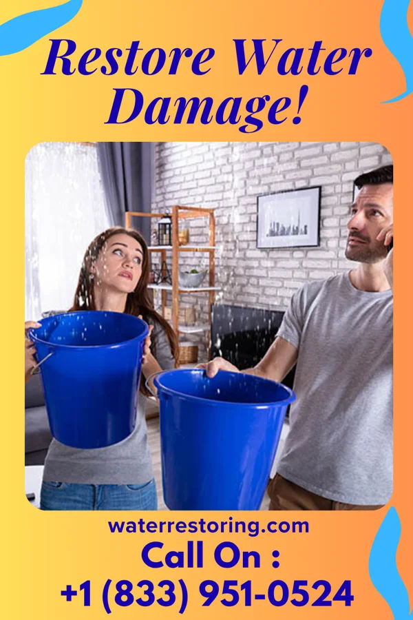 water restoration Vigilant Drying Company Greenbush