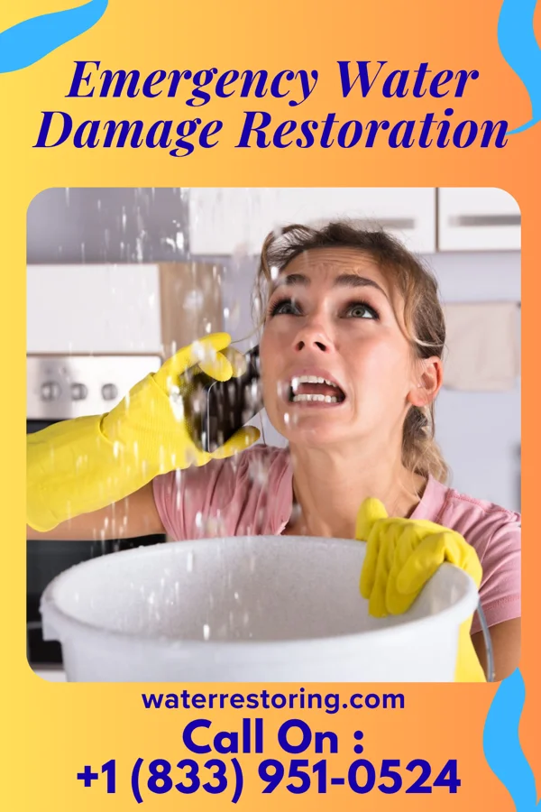 Emergency Water Damage Restoration in Greenbush, MN